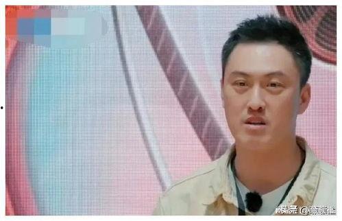 娱乐圈吃瓜爆料经典,揭秘那些年我们吃过的瓜