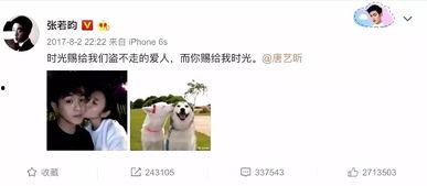 娱乐圈吃瓜张翰视频大全