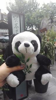 娱乐吃瓜酱大熊猫