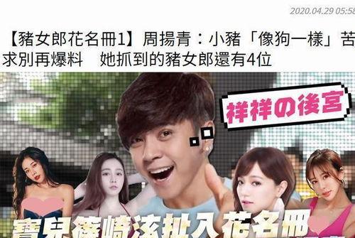 晋江娱乐圈吃瓜小说